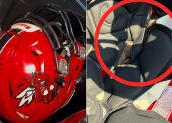 Jogador treina por quase 1h com cobra peçonhenta dentro de capacete nos EUA