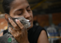 Sobreviventes reencontram animais de estimação após terremoto na Colômbia