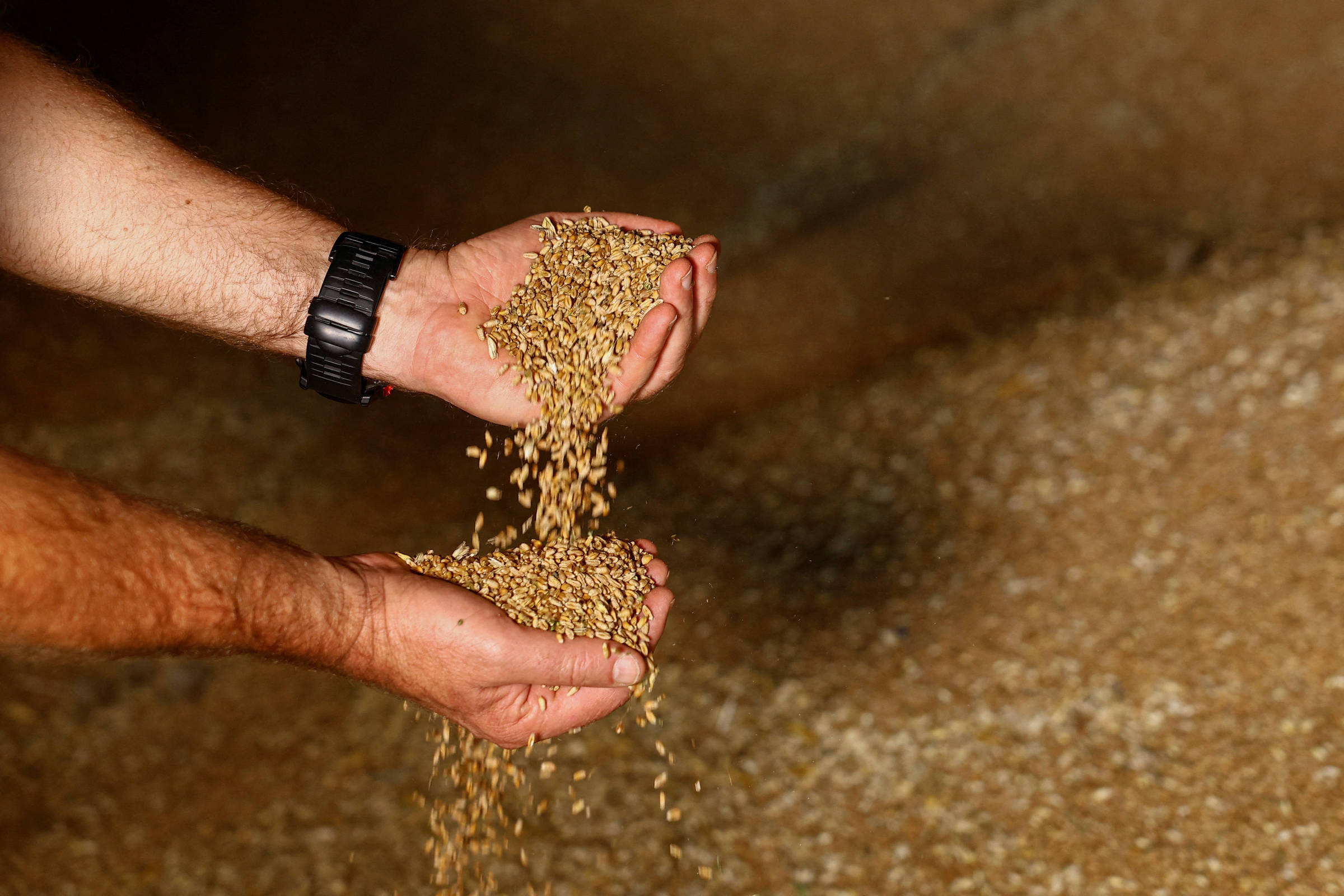 Calor e El Niño afetam preços globais da alimentação, aponta FAO