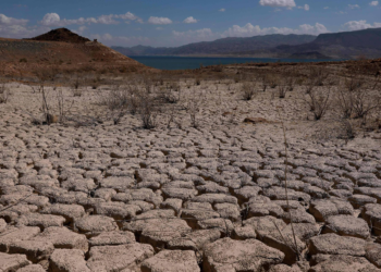 Planeta vai exceder limite de 1,5°C e tarefa agora será voltar a ele, diz ONU
