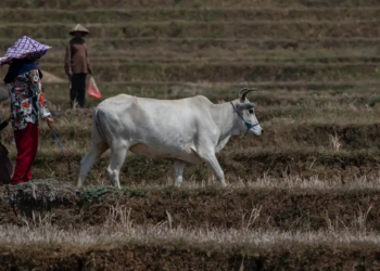 Clima e escassez alimentar elevam risco de guerras no mundo