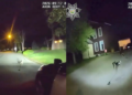 'Sabia exatamente o que fazer': cachorro alerta policiais e leva-os até tutor caído dentro de casa nos EUA; veja VÍDEO